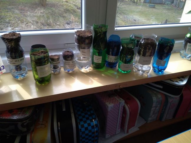 Hotové květináče