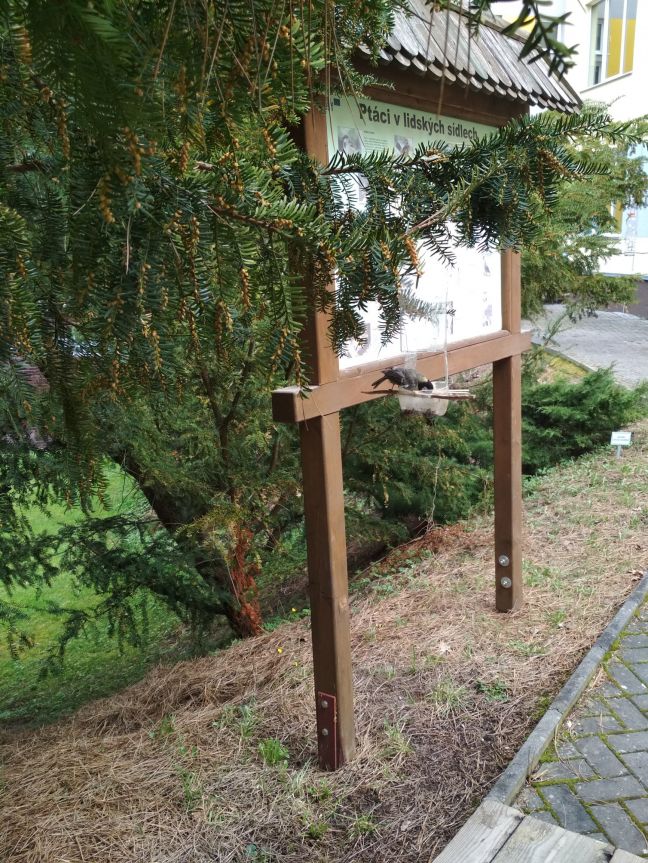 Sýkorka na krmítku